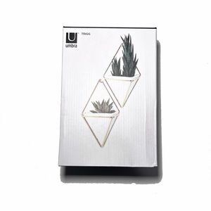 Umbra Trigg Small Wall Display